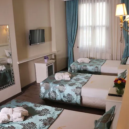فندق فاليديه 3*